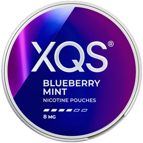 XQS Blueberry Mint 8mg nikotinpåsar med smak av blåbär och mint