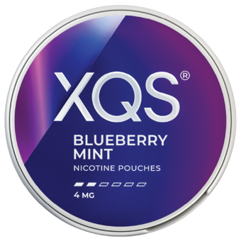 XQS Blueberry Mint 4mg nikotinpåsar med smak av blåbär och mint